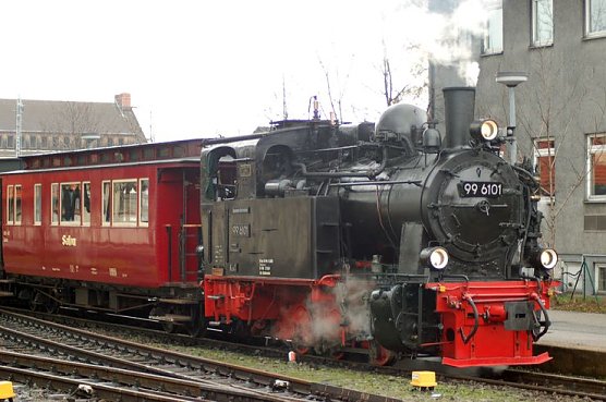 Fiffi (Foto: privat)