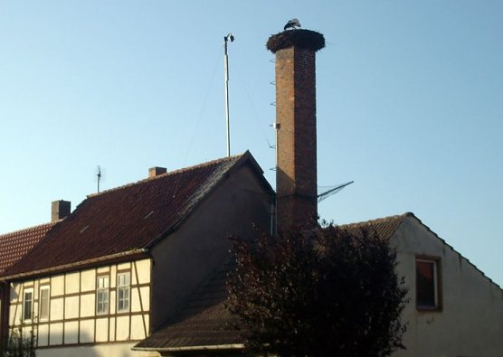 Angekommen (Foto: privat)