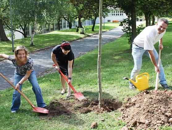 Baum gepflanzt (Foto: privat) Baum gepflanzt (Foto: privat)