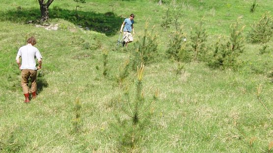 Unterwegs in der Natur (Foto: B. Schwarzberg)