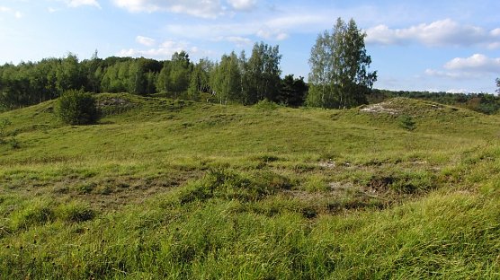 Hier findet man den Enzian (Foto: B. Schwarzberg)