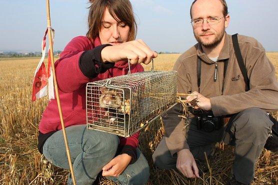 Eingefangen (Foto: privat)