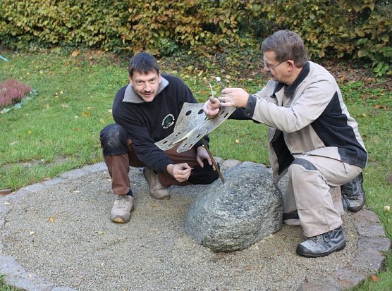 Schmetterlinge (Foto: PSV)