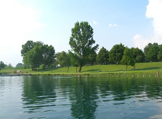 Ab ins Wasser (Foto: Stadtwerke)