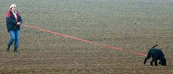 Die besten "Schn&uuml;ffler" (Foto: privat)