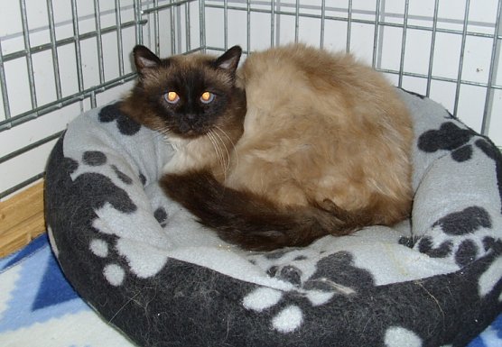 Mark (Foto: C. Knust) Mark (Foto: C. Knust)