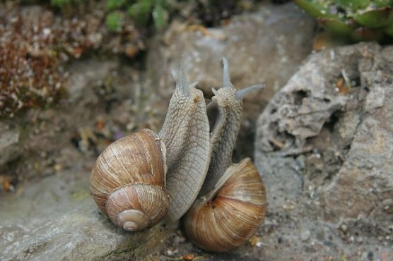 Das ist Liebe! (Foto: Stanislowsky)