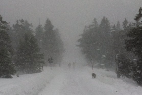 Heiligabend noch kurz auf den Brocken (2011) (Foto: vgf)