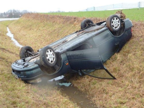 Auf dem Kopf (Foto: BFW Nordhausen)