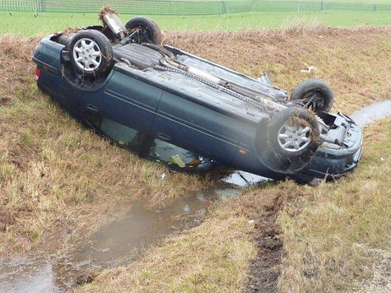 Auf dem Kopf (Foto: BFW Nordhausen)