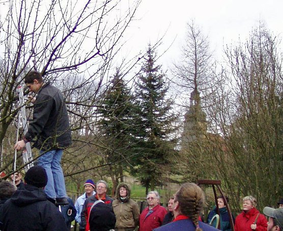 Baumschnittseminar (Foto: Kunsthof Friedrichsrode) Baumschnittseminar (Foto: Kunsthof Friedrichsrode)