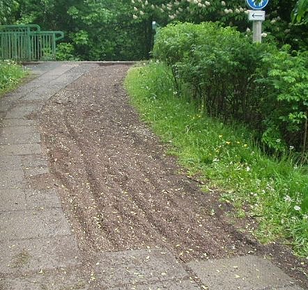 zorge (Foto: stadt) zorge (Foto: stadt)