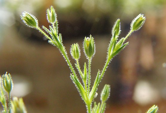 Geschützt? (Foto: B. Schwarzberg) Geschützt? (Foto: B. Schwarzberg)