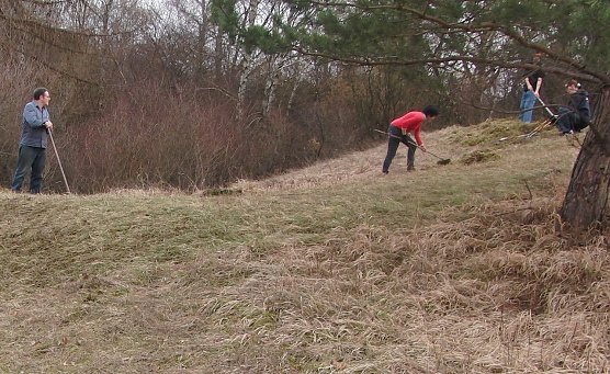 Landschaft pflegen (Foto: privat)