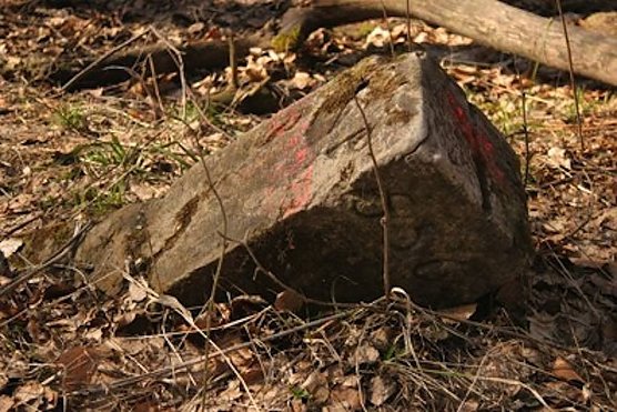 Grenzstein (Foto: privat)