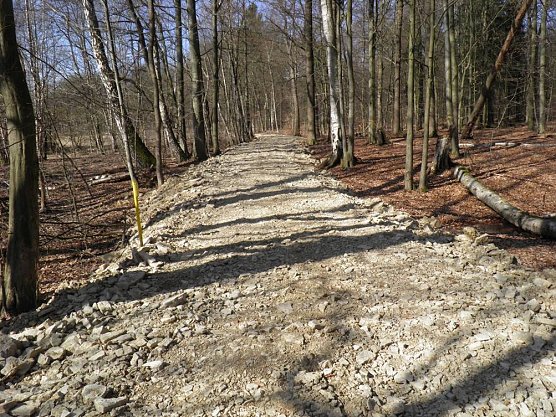 Priorteich (Foto: privat)