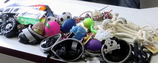 Spende f&uuml;r den Klub (Foto: privat)