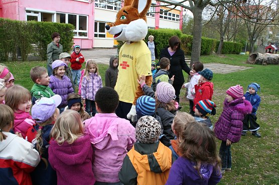 Fuchs in der Kita (Foto: privat) Fuchs in der Kita (Foto: privat)