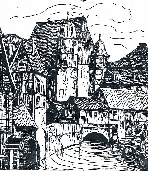 heringen (Foto: heringen)