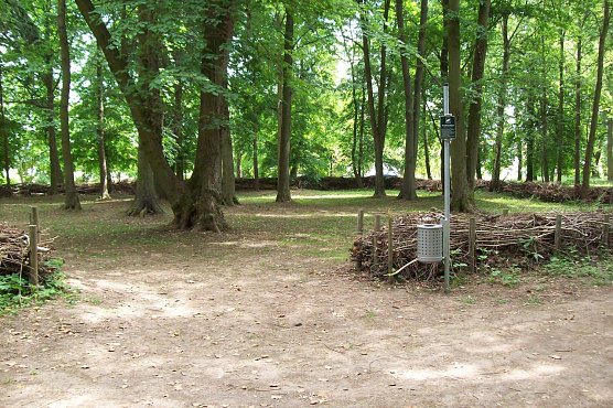 Hundefreilaufplatz (Foto: J. Wiethoff)
