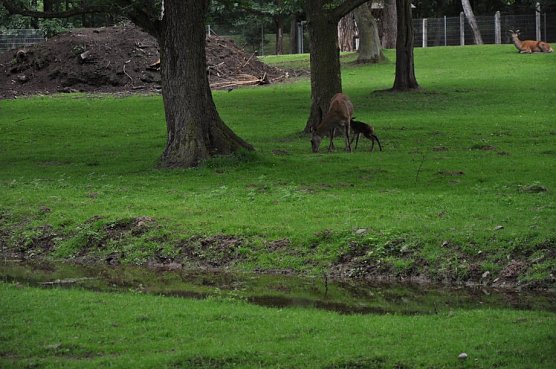 Grad geboren (Foto: privat)