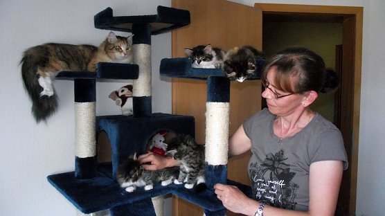 Aus Norwegen (Foto: K. Frank)