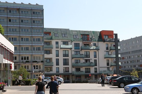 Auffangnetze (Foto: nnz)