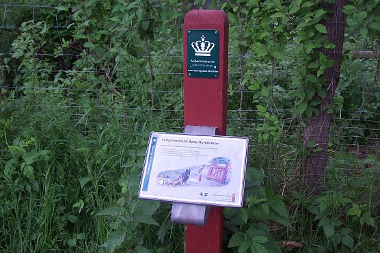 Hundeplatz (Foto: privat)