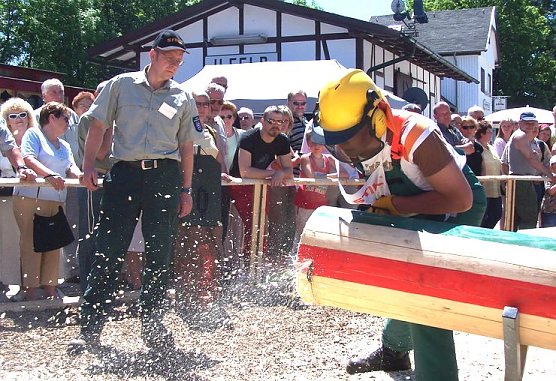 Um die Wette sägen (Foto: Kosch Media) Um die Wette sägen (Foto: Kosch Media)