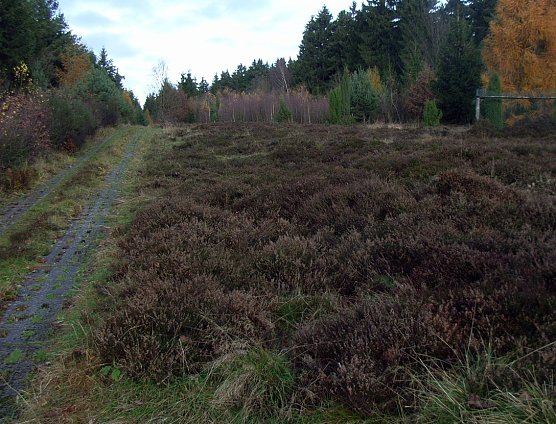 Grenzweg (Foto: A. Richter)
