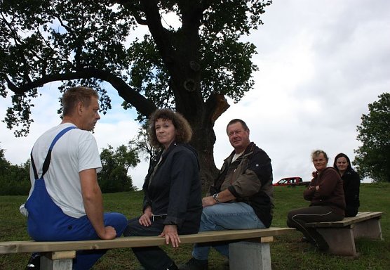 Bank an der dicken Eiche (Foto: psv) Bank an der dicken Eiche (Foto: psv)