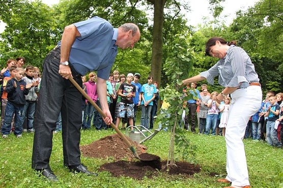 Baum gepflanzt (Foto: J. Piper)