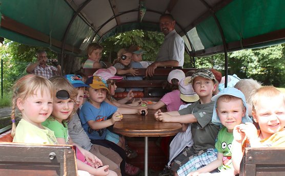 "Igel" in Neustadt (Foto: privat) "Igel" in Neustadt (Foto: privat)