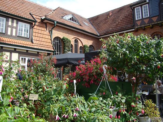 Fuchsien in der Brennerei (Foto: nnz)