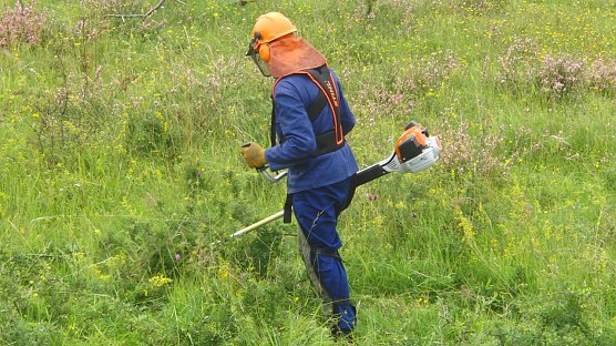 Gepflegter Einsatz (Foto: B. Schwarzberg) Gepflegter Einsatz (Foto: B. Schwarzberg)