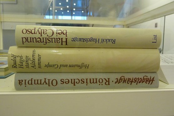 B&uuml;cher in der Ausstellung (Foto: H. Kneffel)