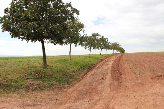 Der Anfang ist gemacht (Foto: privat)