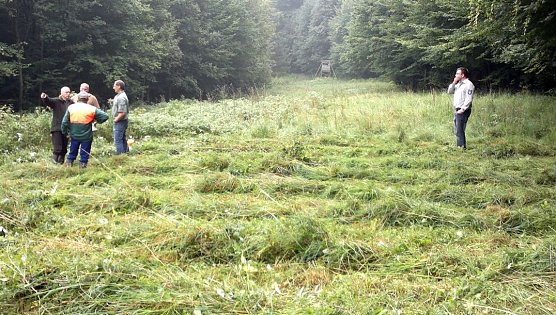 Einmal im Jahr m&auml;hen (Foto: Forstamt Bleicherode)