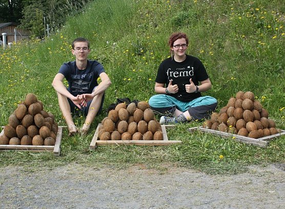 Jede Menge N&uuml;sse (Foto: privat)