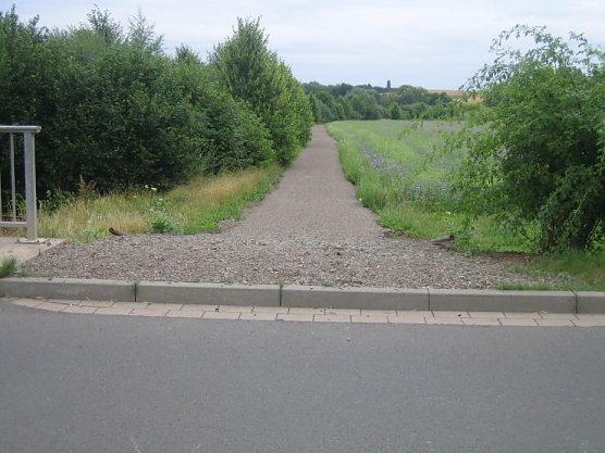 Und wie weiter? (Foto: M&auml;usetaler)