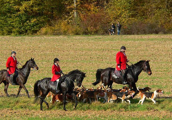 Hubertusjagd (Foto: privat) Hubertusjagd (Foto: privat)