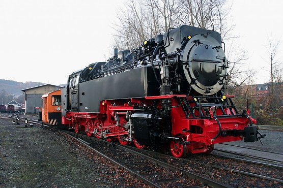 Wieder in der Heimat (Foto: HSB)