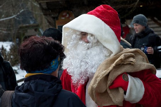 Weihnachten im Wald (Foto: privat)