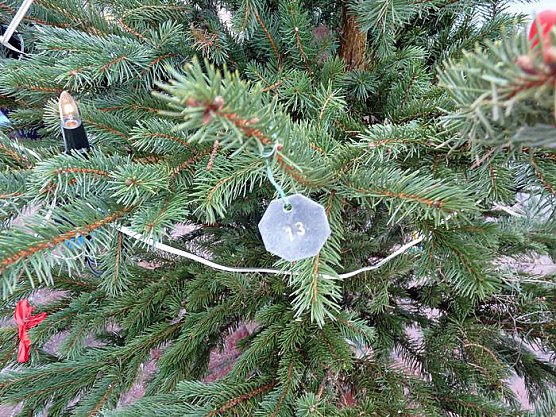 Im Eis versunken (Foto: Karl-Heinz Herrmann)