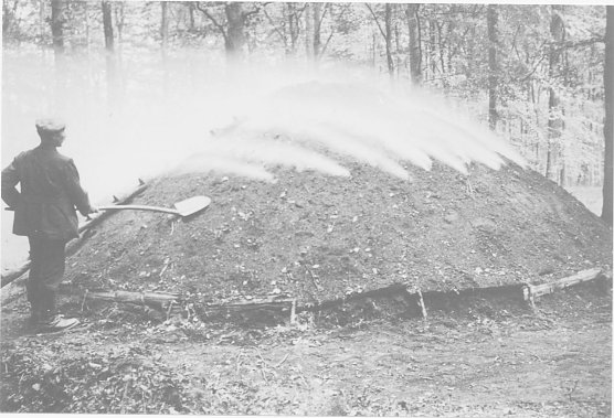 Köhler im Harz (Foto: Ibe) Köhler im Harz (Foto: Ibe)