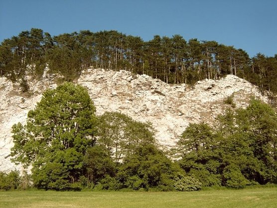 Sachsensteinwand (Foto: Autoren)