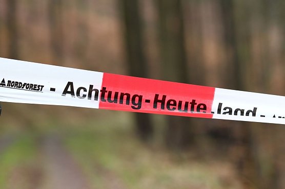 Hier wird gejagt (Foto: nnz)