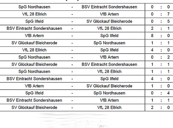 Halllenkreismeister G- Junioren (Foto: Kreisfu&szlig;ballausschuss Nordth&uuml;ringen)