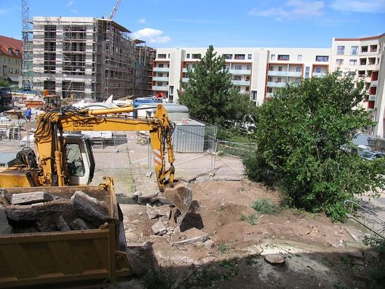 Bagger statt Bäume (Foto: psv) Bagger statt Bäume (Foto: psv)