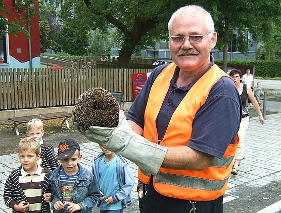 Igel gerettet (Foto: psv)